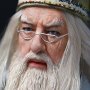 Albus Dumbledore (Order Of Phoenix)