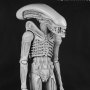 Alien Xenomorph 1979