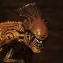 Alien 3 Creature Accessory Pack