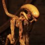 Alien 3 Creature Accessory Pack
