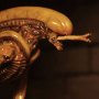 Alien 3 Creature Accessory Pack