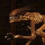 Alien 3 Creature Accessory Pack