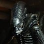 Alien 40th Anni 3 3-SET