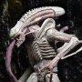 Aliens Series 9