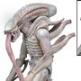 Aliens: Alien Albino Concept