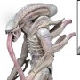 Aliens Series 9