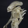 Aliens: Alien Albino Concept