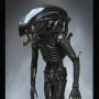 Alien: Alien Big Chap