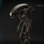 Alien: Alien Big Chap