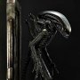 Alien Big Chap 3D Wall Art