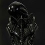 Alien Big Chap 3D Wall Art Deluxe