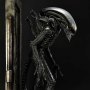 Alien Big Chap 3D Wall Art Deluxe