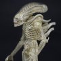 Aliens: Alien Big Chap Concept