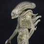 Aliens Series 7
