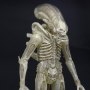 Alien Big Chap Concept