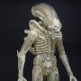 Aliens Series 7