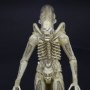 Alien Big Chap Concept