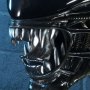 Alien Big Chap Head Open Mouth Trophy 3D Wall Art