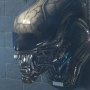 Alien: Alien Big Chap Head Open Mouth Trophy 3D Wall Art