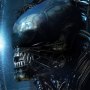 Alien: Alien Big Chap Head Trophy 3D Wall Art