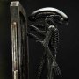 Alien Big Chap Museum 3D Wall Art