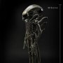 Alien: Alien Big Chap Museum Art