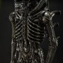 Alien Big Chap Museum Art