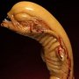 Alien: Alien Chestburster