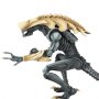 Alien Vs. Predator (Video Game 1994): Alien Razor Claw