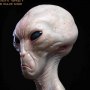 Original Characters-Dulce Wars: Alien Grey (Steve Wang)