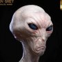 Alien Grey (Steve Wang)