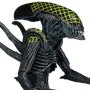 Aliens Series 7