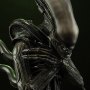 Alien Internecivus Raptus