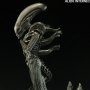 Alien: Alien Internecivus Raptus