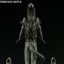 Alien Internecivus Raptus