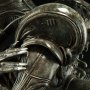 Alien Internecivus Raptus