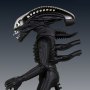 Alien Vintage Jumbo