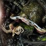 Alien Rogue Battle Diorama (Prime 1 Studio)