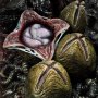 Alien Rogue Battle Diorama