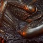 Alien Romulus Accessory Pack