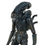 Aliens: Alien Warrior