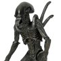 Alien Vs. Predator: Alien Warrior