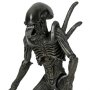 Aliens Series 7