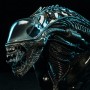 Alien 2: Alien Warrior