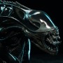 Alien Warrior