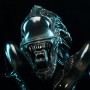Alien Warrior