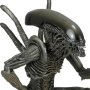 Aliens Series 7