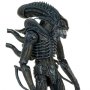 Alien Warrior