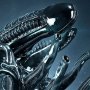 Alien Warrior