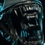 Alien Warrior